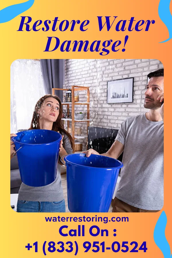 water restoration Precision Flood Damage Inc Franklin
