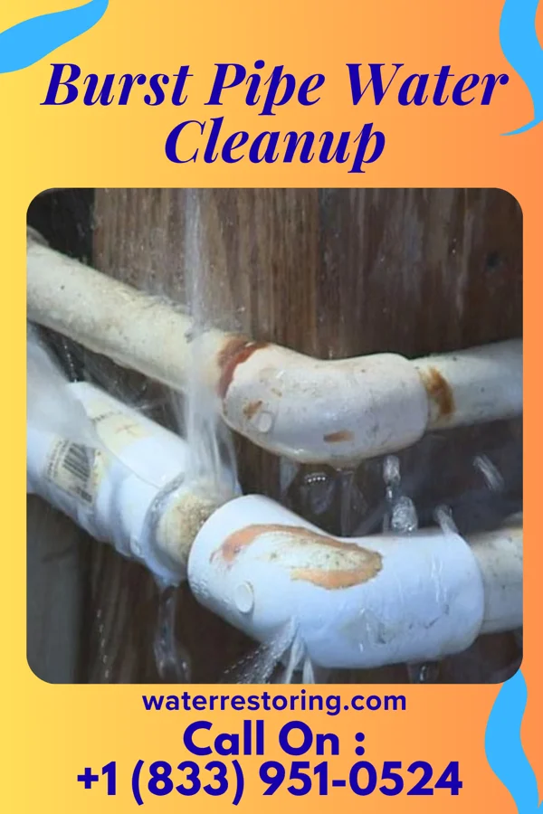 Burst Pipe Water Cleanup in Franklin, MD