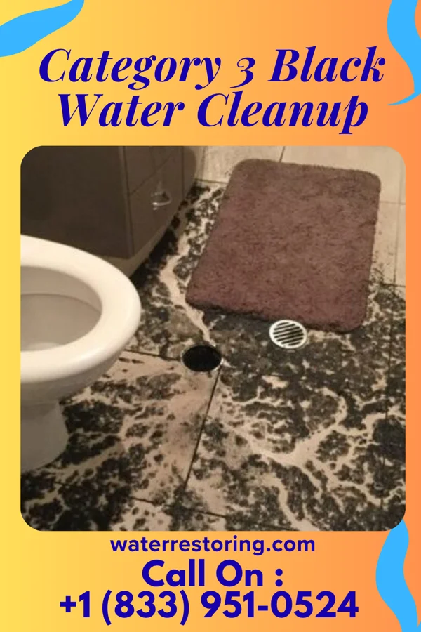 Category 3 Black Water Cleanup in Franklin, MD