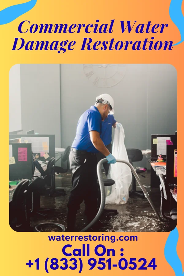 Commercial Water Damage Restoration in Franklin, MD