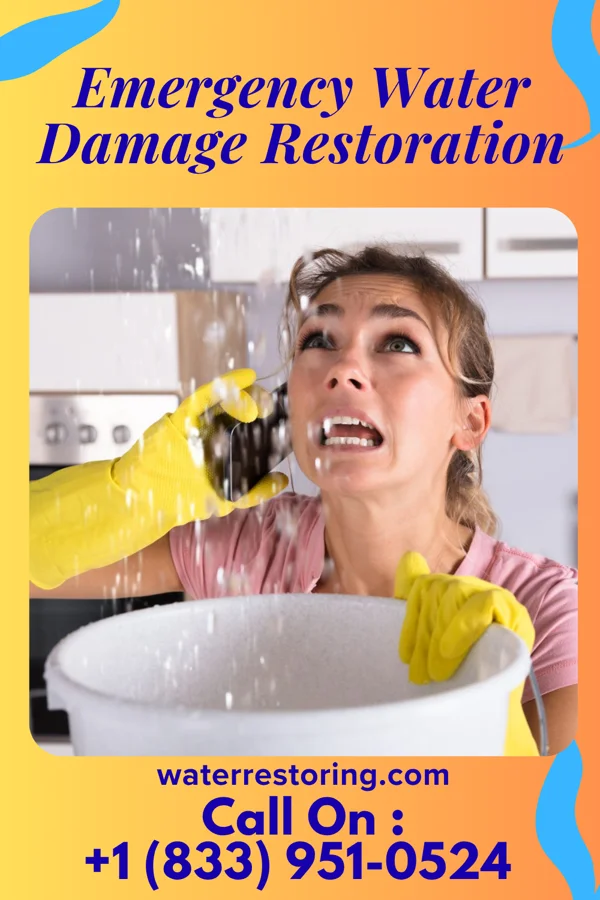 Emergency Water Damage Restoration in Franklin, MD