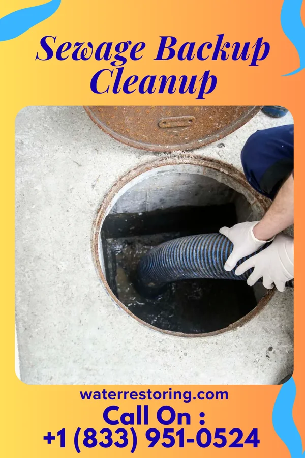 Sewage Backup Cleanup in Franklin, MD