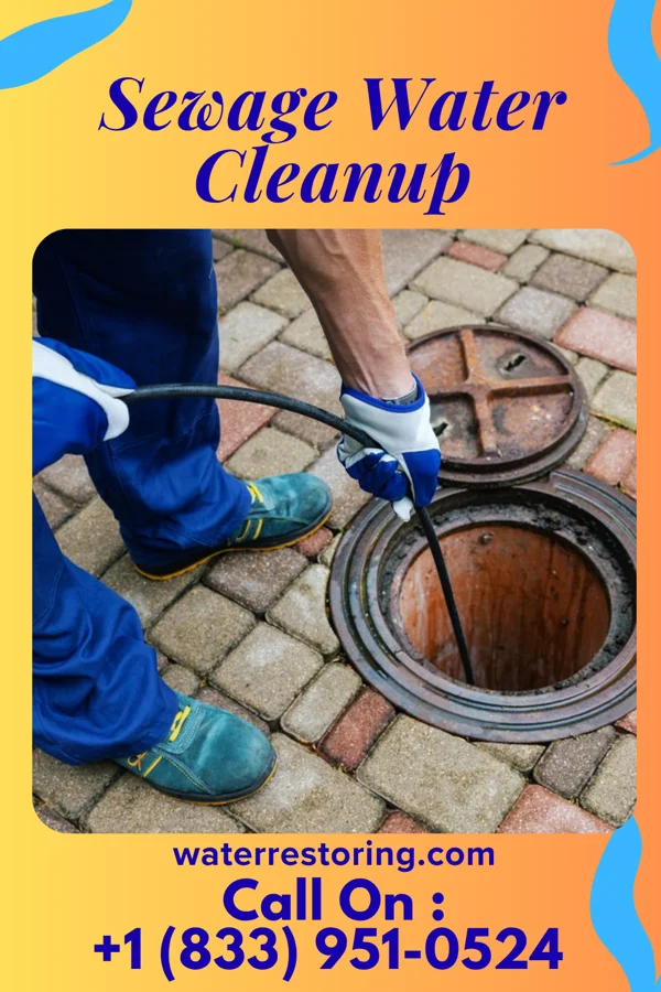 Sewage Water Cleanup in Franklin, MD